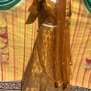 Gold Embroidered Lehenga Choli with Dupatta