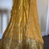 Golden Zari Lehenga Choli - Image 2
