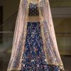 Navy Blue Floral Pattern Lehenga Choli