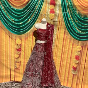 red-shell-net-embroidered-elehenga-choli