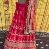 Rose Pink Curve Lehenga Set - Image 3
