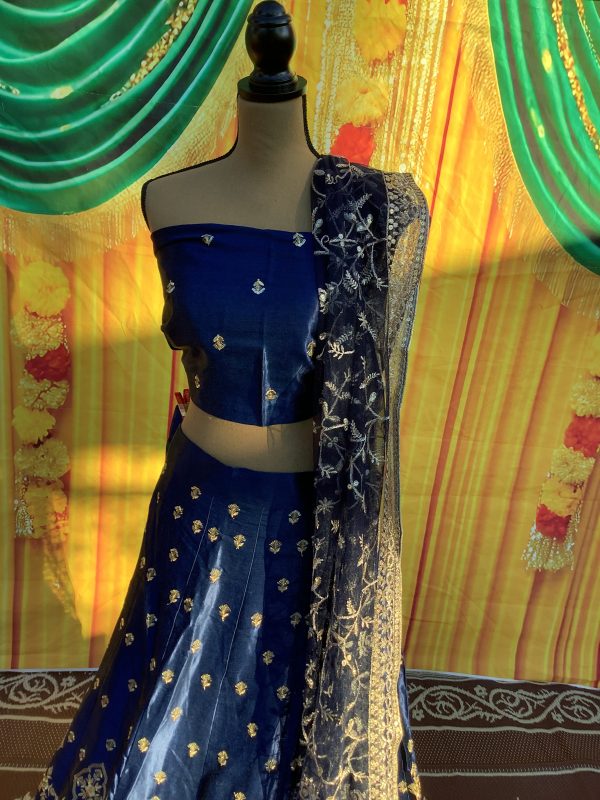 Blue Zari Lehenga Set - Image 3