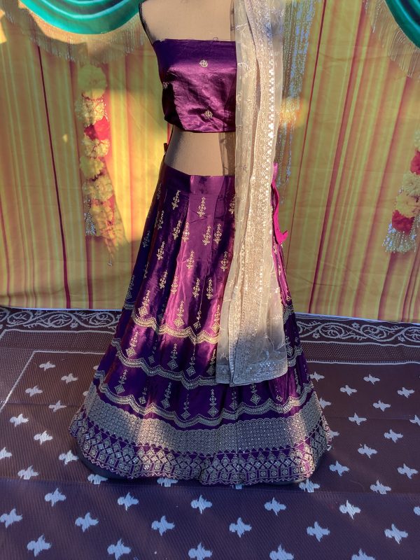 grape-curve-lehenga-set