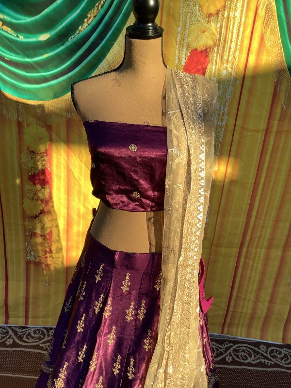 Grape Curve Lehenga Set - Image 3