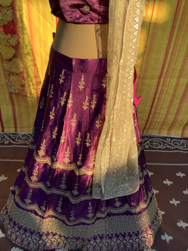 Grape Curve Lehenga Set - Image 2