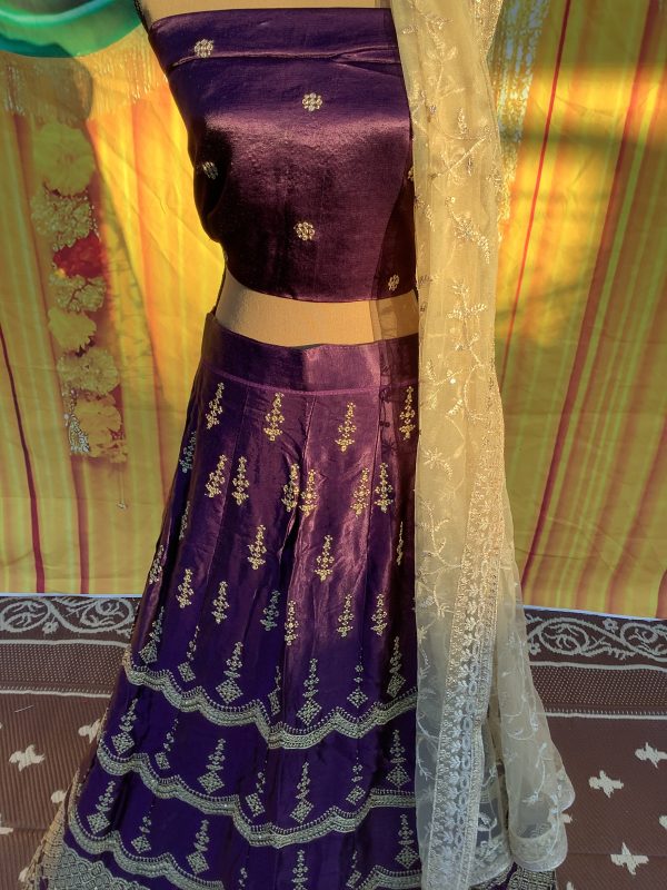 Eggplant Curve Lehenga Set - Image 3